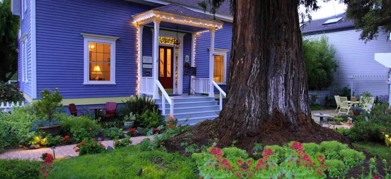 Olallieberry Inn Bed And Breakfast Cambria Extérieur photo