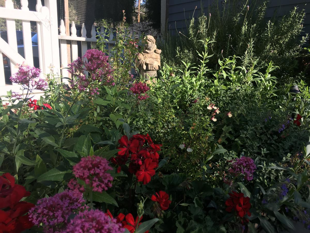 Olallieberry Inn Bed And Breakfast Cambria Extérieur photo