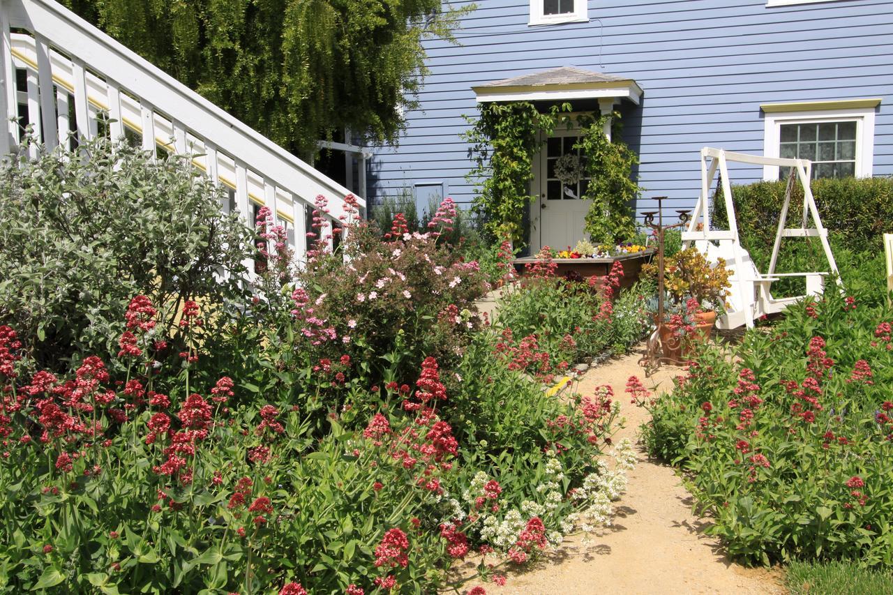 Olallieberry Inn Bed And Breakfast Cambria Extérieur photo